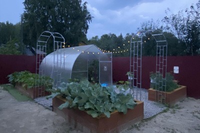 Купить Виноградная Арка 2440х1500х340мм, 25х25мм в .