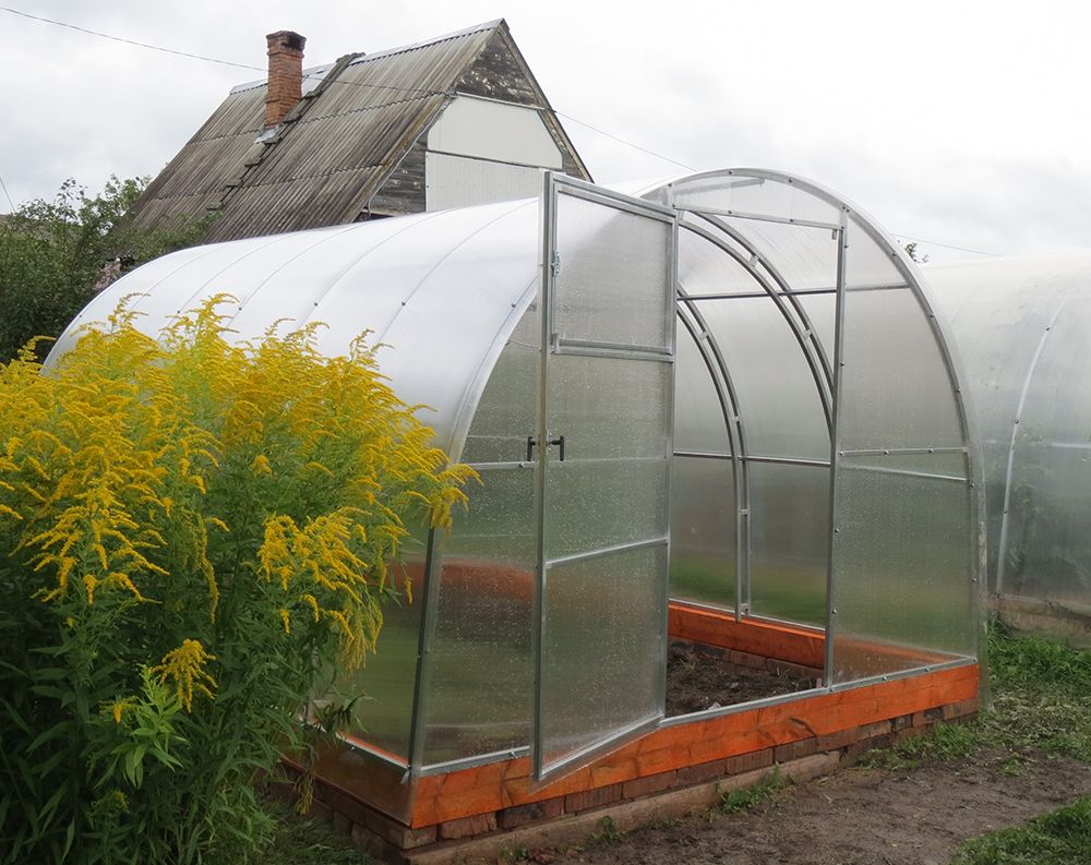 Купить Теплица "Усиленная" в .